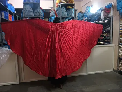 Phoenix Wings — Red