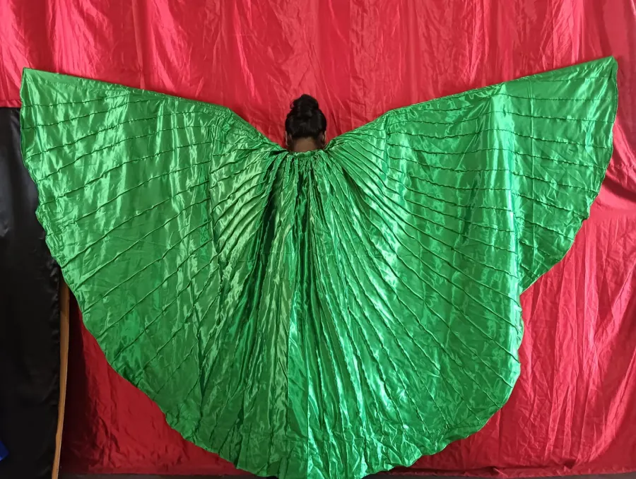 Green satin performance wings spread against a red curtain